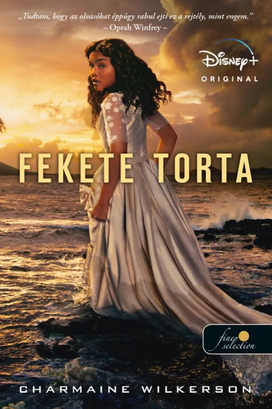 Kedvezményes ár Fekete torta