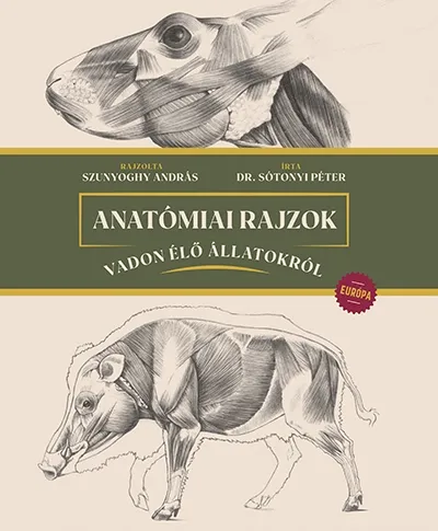 Azonnal elérhető Anatómiai rajzok vadon élő állatokról - Európa