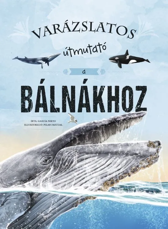Kedvezményes ár Varázslatos útmutató a bálnákhoz