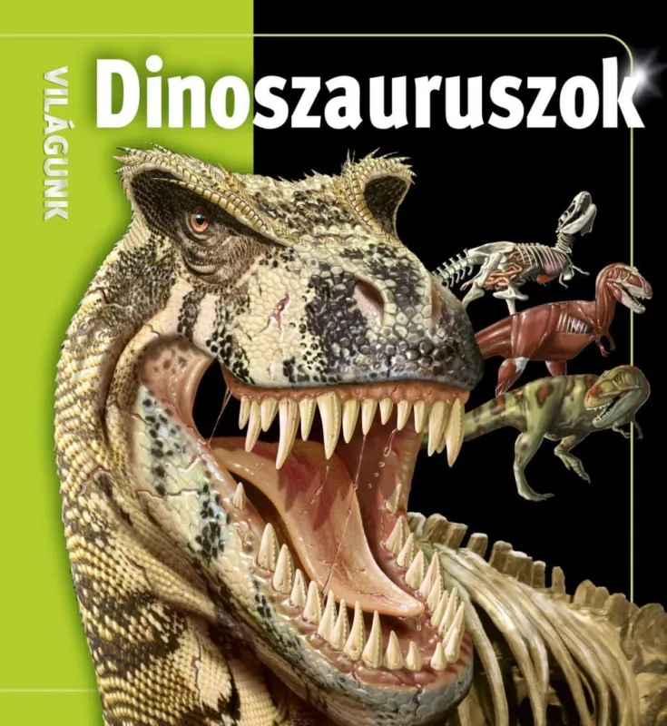 Ne maradj le Dinoszauruszok - Világunk