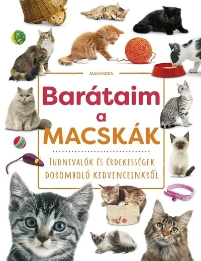Biztonságos fizetés Barátaim, a macskák