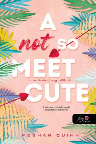 Biztonságos vásárlás A Not So Meet Cute - A (nem is olyan) nagy találkozás (Cane Fivérek 1.)