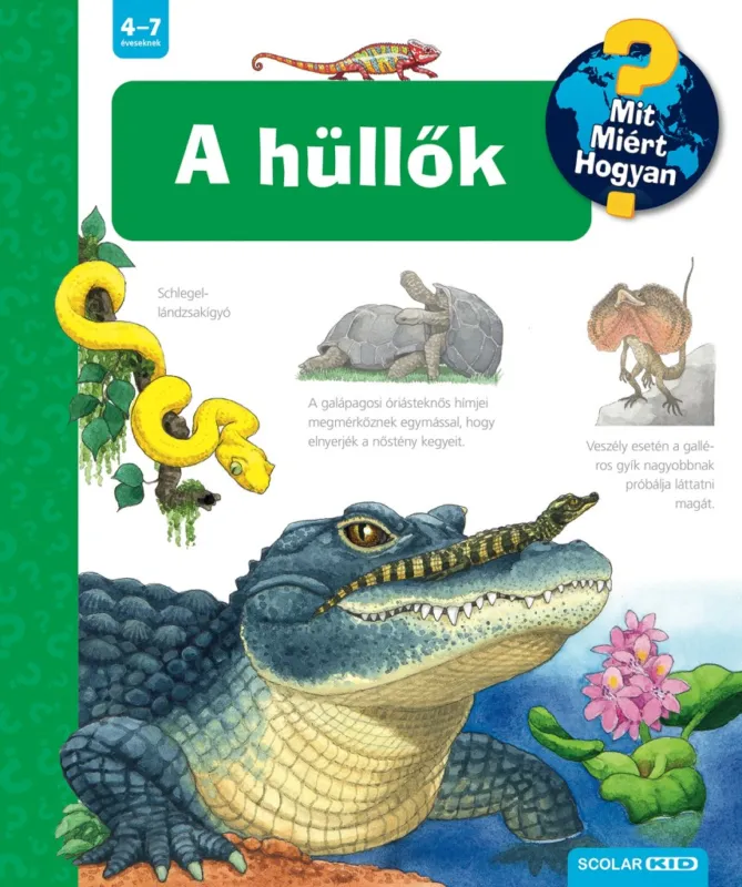 A hüllők - Mit? Miért? Hogyan? (73.) Csak ma