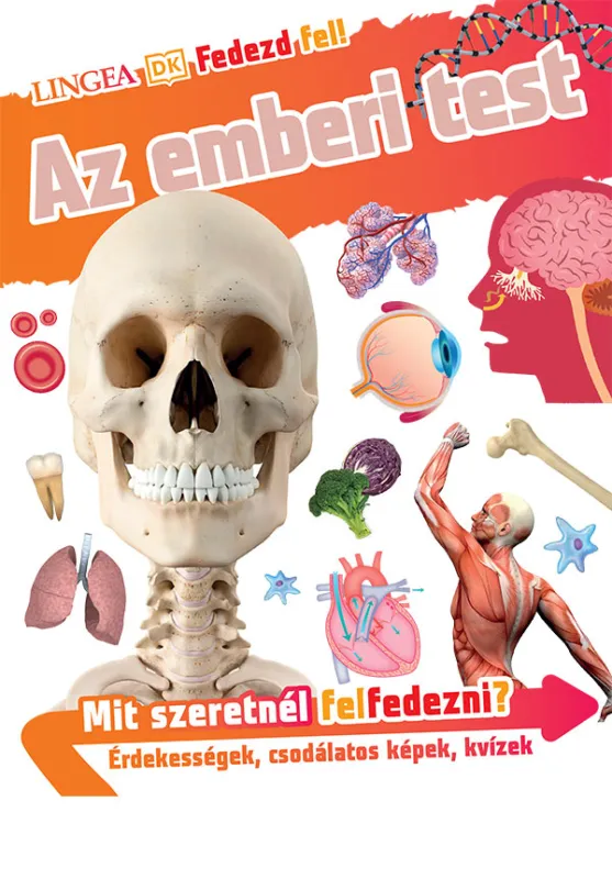 Gyors kiszállítás Fedezd fel! - Az emberi test