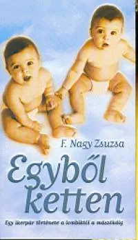 Szuper ajánlat Egyből ketten - Egy ikerpár története a lombiktól a mászókáig