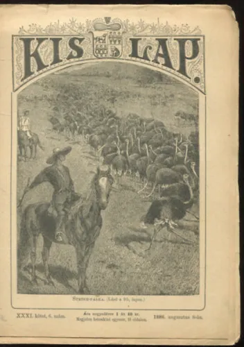 Legnépszerűbb Kis Lap XXXI. kötet, 6. szám