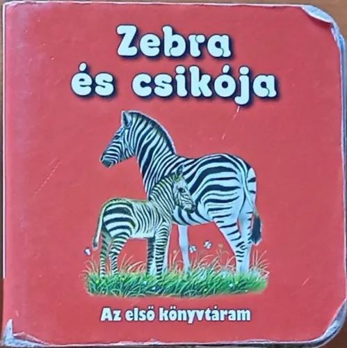 Szuper akció Zebra és csikója