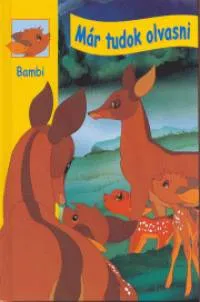 Bambi Expressz kézbesítés
