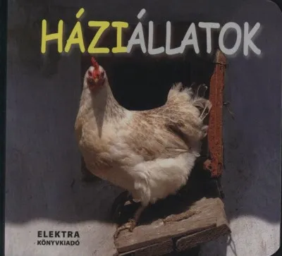 Háziállatok Végkiárusítás