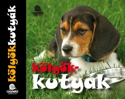 Kölyökkutyák - Leporello Rendeld meg most