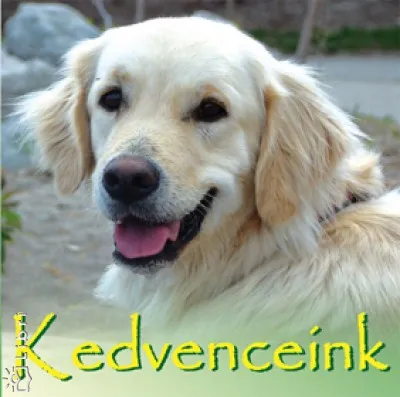 Kiárusítás Kedvenceink