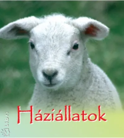 Háziállatok Rendeld meg most