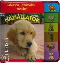 Exkluzív ajánlat Háziállatok - Olvasok, számolok, tanulok