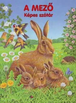 Árcsökkenés A mező - Képes szótár