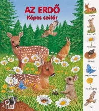 Ajánlat Az erdő - Képes szótár