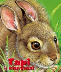 Tapi a kisnyuszi Különleges ajánlat