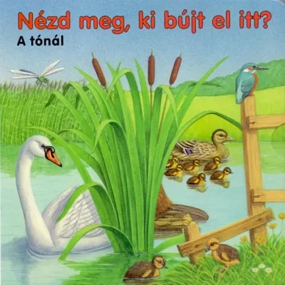 Nézd meg, ki bújt el itt? - A tónál Olcsó