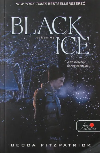 Black Ice - Tükörjég Vedd meg online