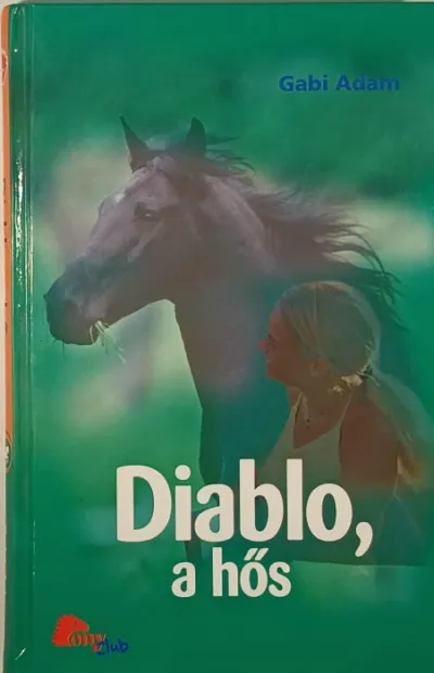 Biztonságos fizetés Diablo, a hős
