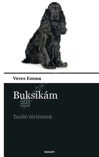 Buksikám Bestseller