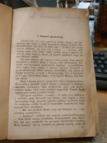 Azonnal elérhető A lowoodi árva