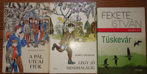 Legnépszerűbb 3 kötelező olvasmány kisiskolásoknak: A pál utcai fiúk, Légy jó mindhalálig, Tüskevár