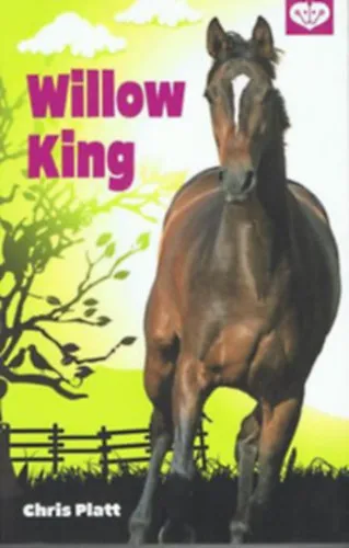 Szezonális akció PonyClub csomag (2 kötet): Willow King + Az első nyár