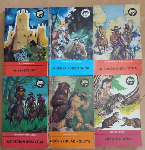 (6 db) Delfin ifjúsági könyvcsomag: A fekete nyíl / A fehér tözsfőnök / A törzsfőnök titka / Az indián bosszúja / A sós sziklák völgye / Két kicsi hód Bestseller
