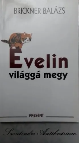 Evelin világgá megy - mesedrámák (Saját képpel!) Ajánlat