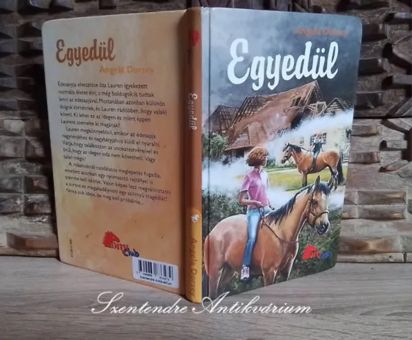 Ajánlat Egyedül (Abandoned) - Pony Club sorozat; Jennifer Bell illusztrációival; Saját képpel!