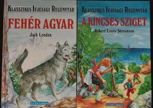 Ifjúsági regények könyvcsomag (2 kötet ) Rendeld meg most