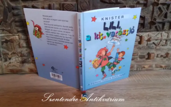 Ne maradj le Lili, a kis varázsló - A fergeteges szülinap (Hexe Lilli feiert Geburtstag) Lothringer Szilvia fordításában; Saját képpel!