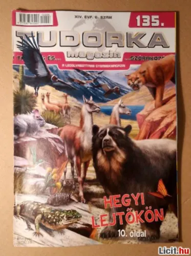 Outlet Tudorka 135.szám