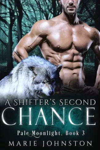 A Shifter's Second Chance - E-könyv Kiárusítás