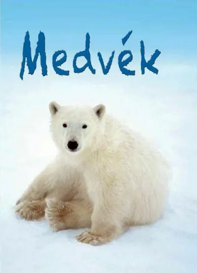 Korlátozott ajánlat Kis Könyvtár - Medvék