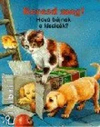 Ne maradj le Keresd meg! - Hová bújnak a kiscicák?