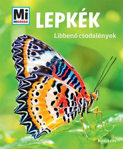 Árcsökkenés Lepkék - Mi MICSODA - Libbenő csodalények
