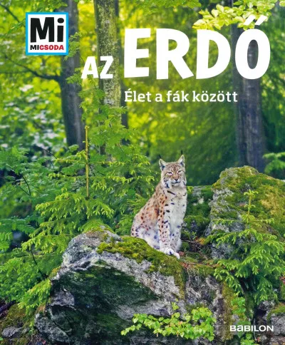 Az erdő - Mi Micsoda - Élet a fák között Exkluzív ajánlat