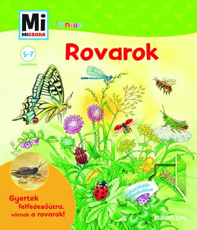 Alacsony ár Rovarok - Kukucskáló ablakokkal - Mi Micsoda Junior