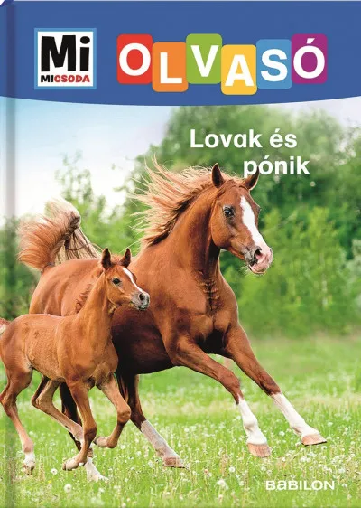 Lovak és pónik - Mi Micsoda Olvasó Expressz szállítás