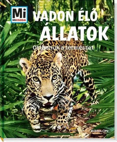 Vadon élő állatok - Otthonuk a természet Legnépszerűbb