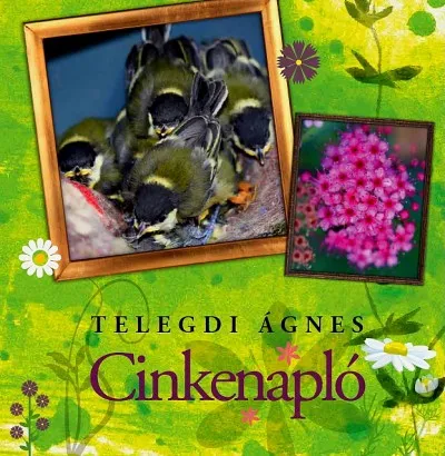Gyors kiszállítás Cinkenapló