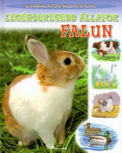 Utolsó esély Legérdekesebb állatok falun - Csodálatos állatvilág