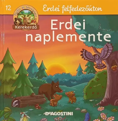 Különleges ajánlat Erdei naplemente
