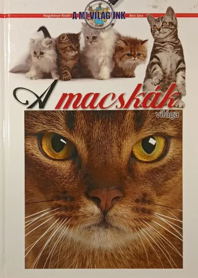 A macskák világa Azonnali szállítás