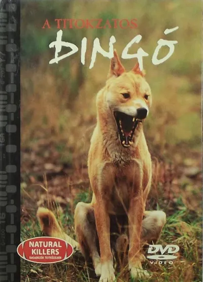 A titokzatos dingó - +DVD Gyors kiszállítás