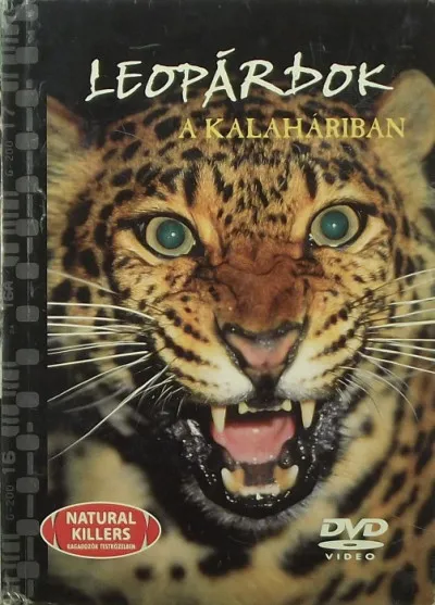 Különleges ajánlat Leopárdok a kalaháriban - +DVD