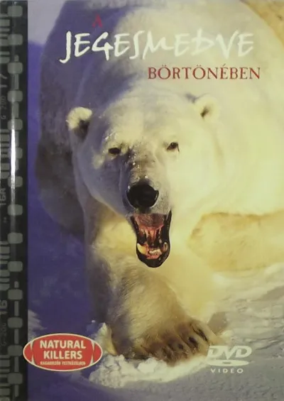 A jegesmedve börtönében - +DVD Biztonságos fizetés