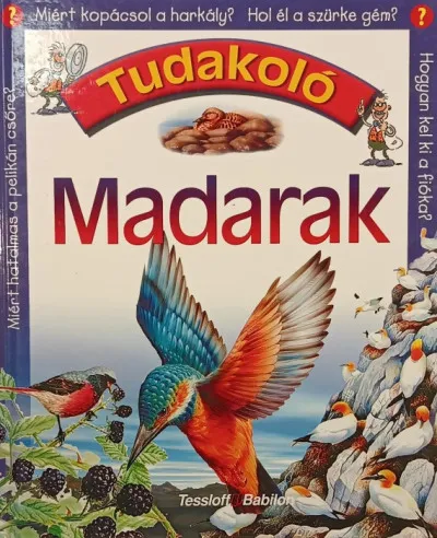 Tudakoló - Madarak Legnépszerűbb