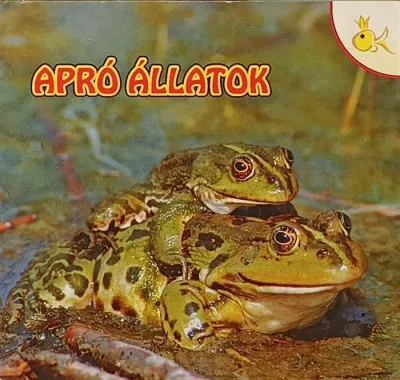 Apró állatok Végkiárusítás